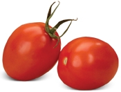 עגבניות שנטי- שיפור מוצקות וצבע