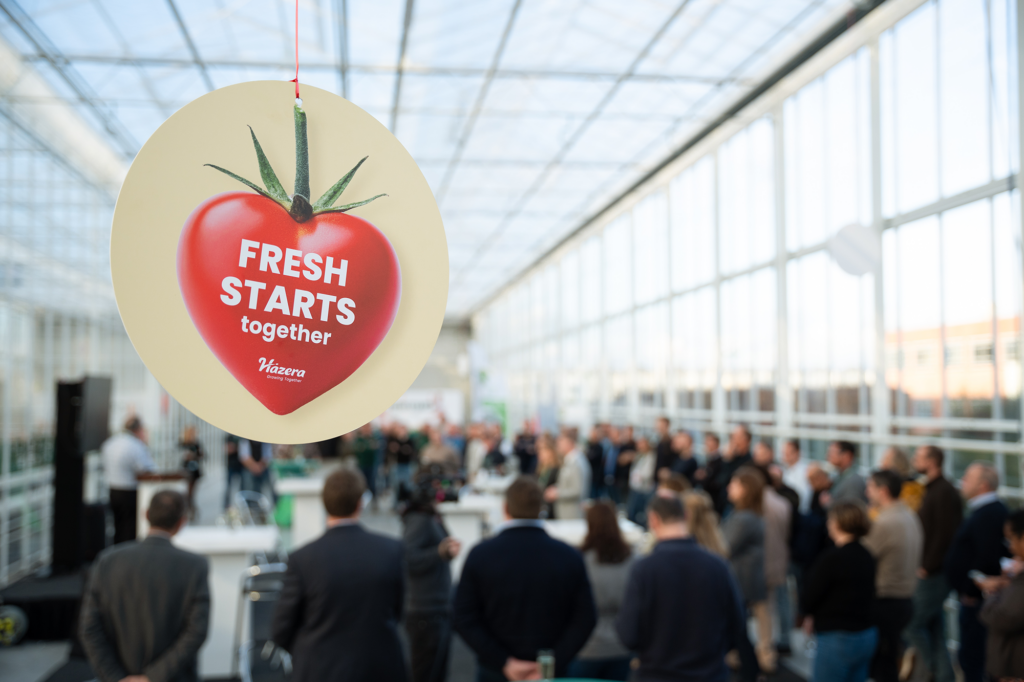 Hazera opens new high-tech R&D tomato greenhouse - Israel